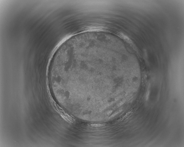 X0000054371427200508262329