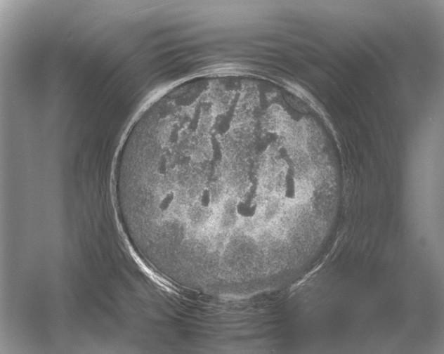 X0000054371429200508262329