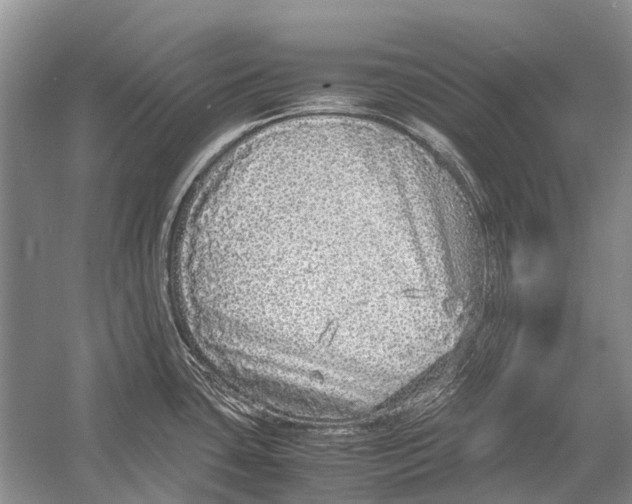 X0000054371435200508262329