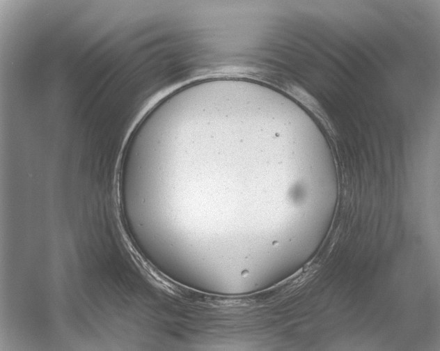 X0000054371436200508262329