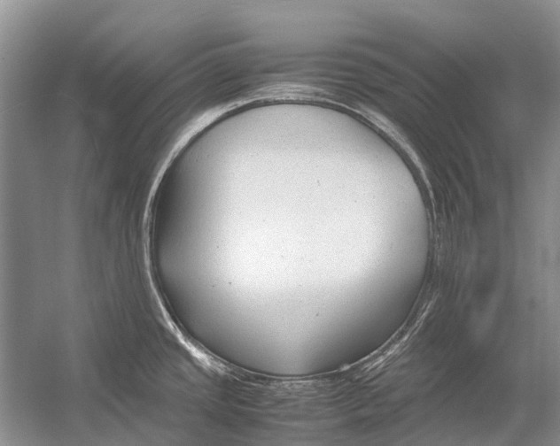 X0000054371437200508262329