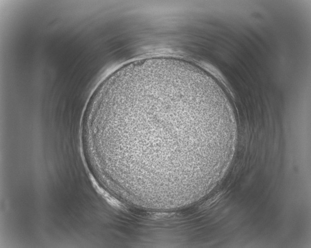 X0000054371439200508262329