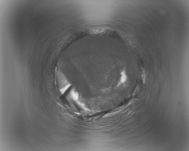 X0000054371441200508262329