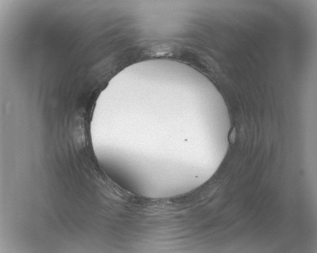 X0000054371442200508262329