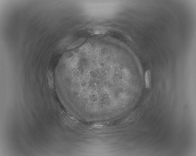 X0000054371443200508262329