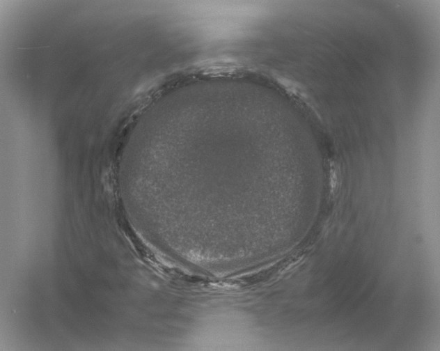 X0000054371445200508262329