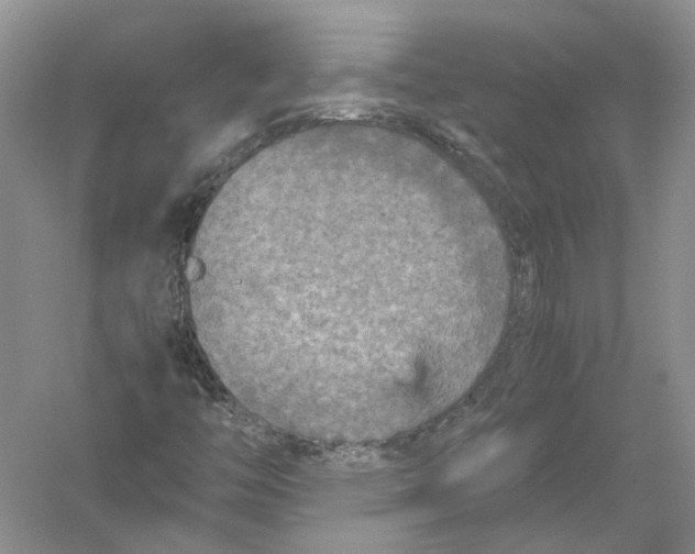 X0000054371446200508262329