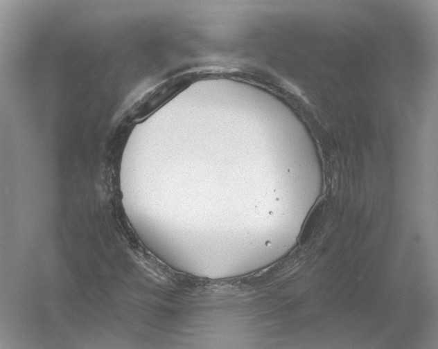 X0000054371448200508262329