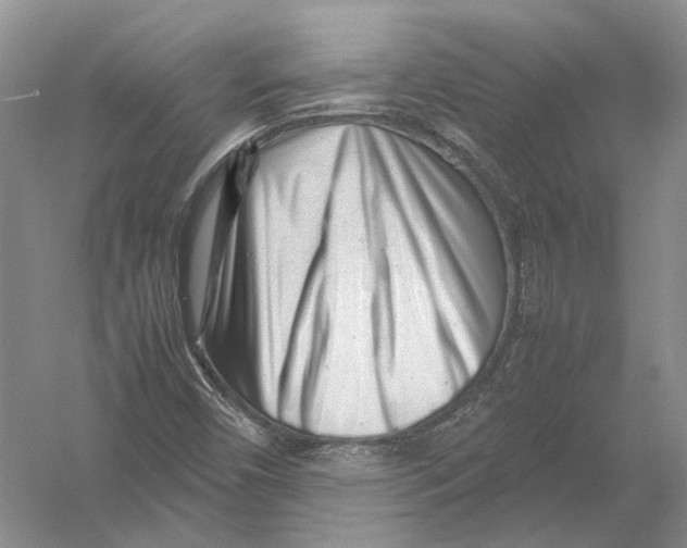 X0000054371450200508262329