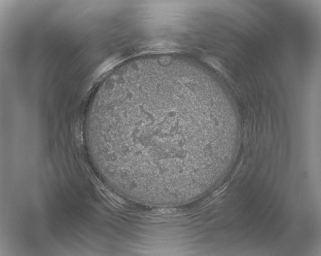 X0000054371451200508262328