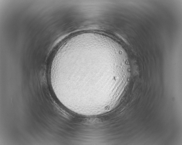 X0000054371452200508262328