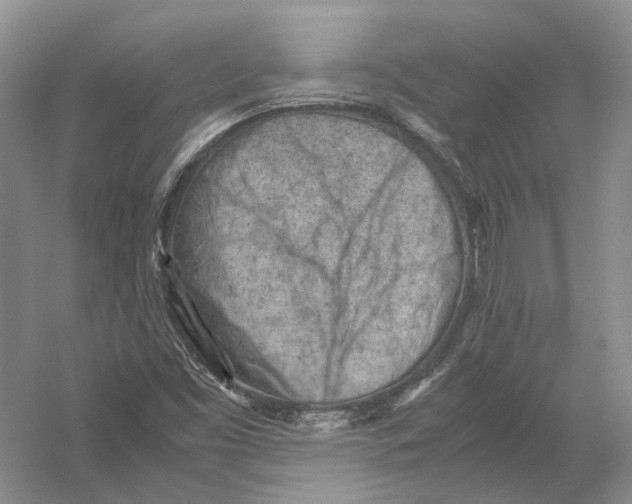 X0000054371453200508262328