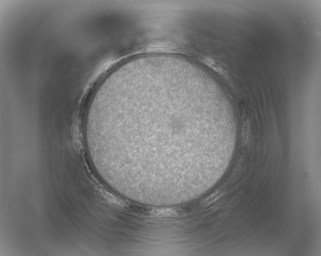 X0000054371454200508262328