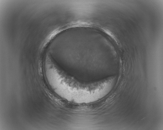 X0000054371455200508262328