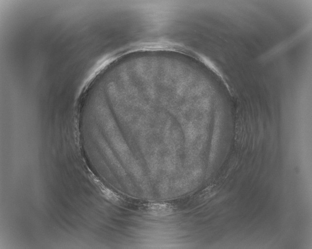 X0000054371456200508262328