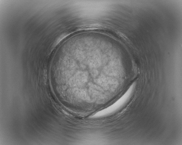 X0000054371457200508262328