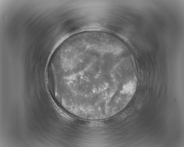 X0000054371466200508262328