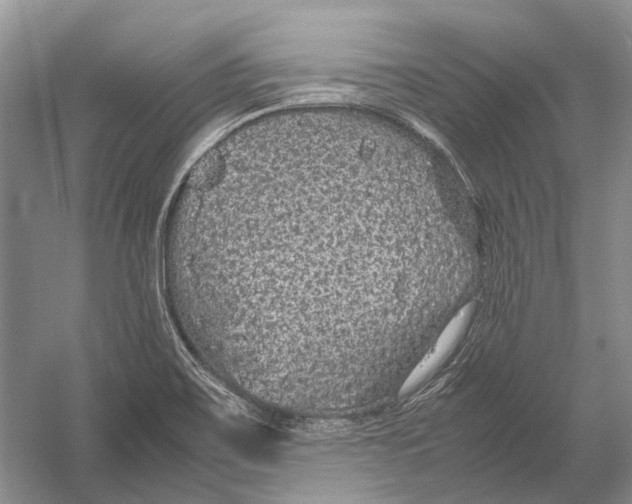 X0000054371467200508262328