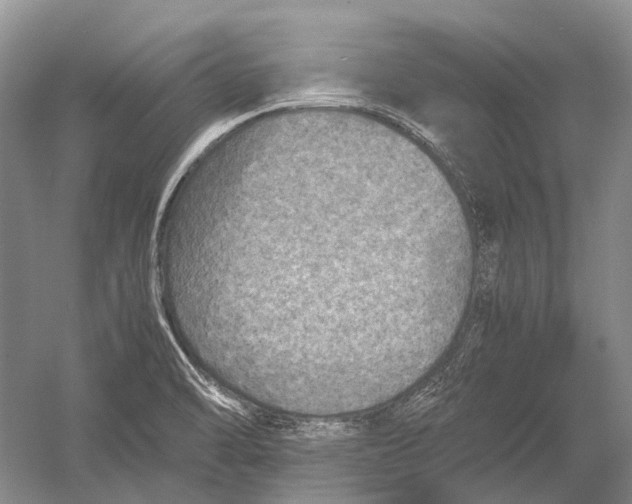 X0000054371470200508262328