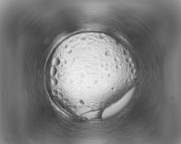 X0000054371471200508262328