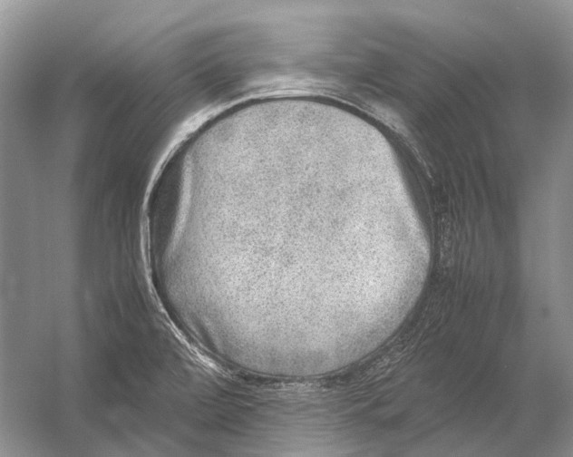 X0000054371472200508262328