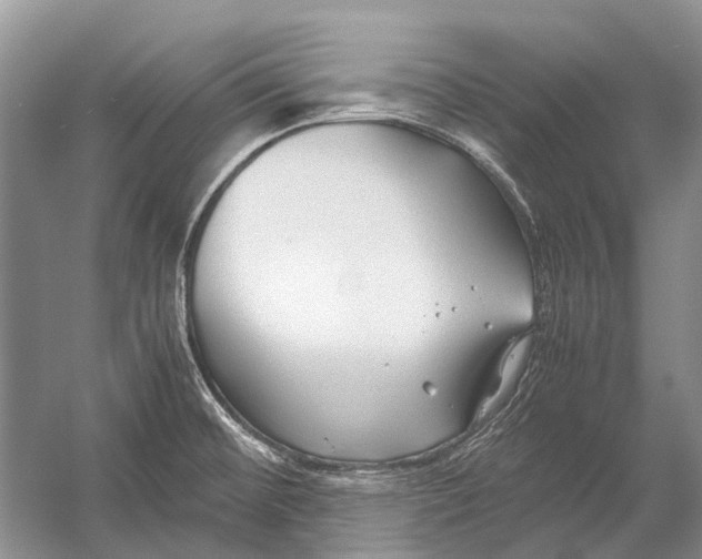 X0000054371476200508262328