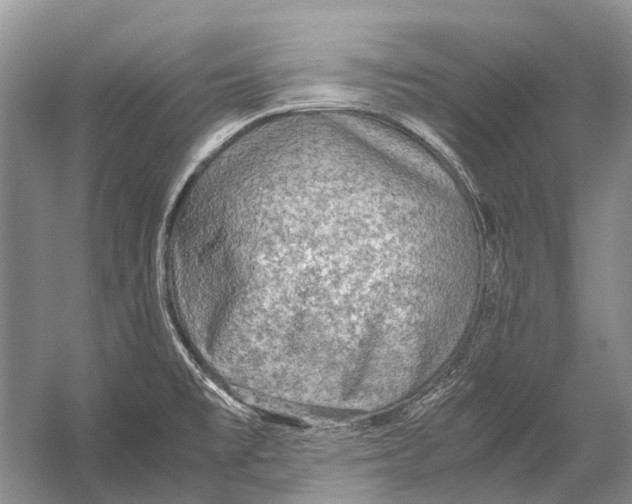 X0000054371477200508262328