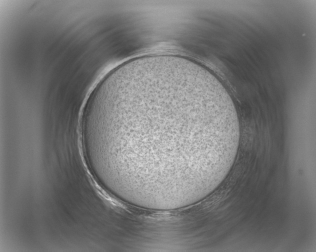 X0000054371478200508262328