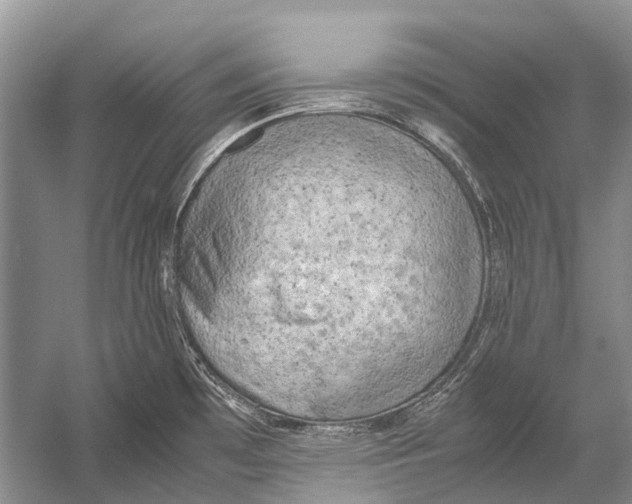 X0000054371481200508262328