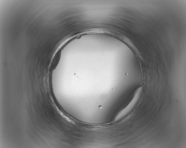 X0000054371484200508262328