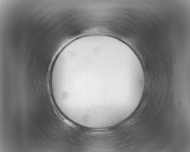 X0000054371486200508262328