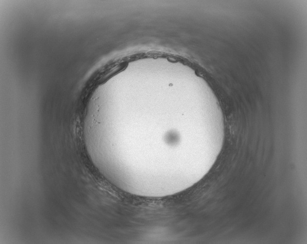 X0000054371495200508262327