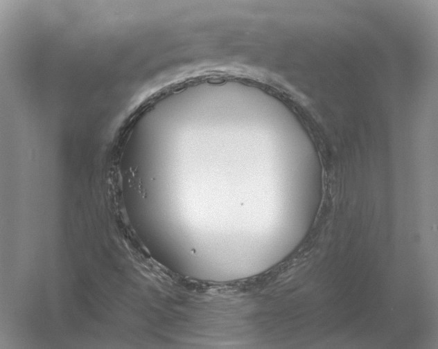 X0000054371496200508262327