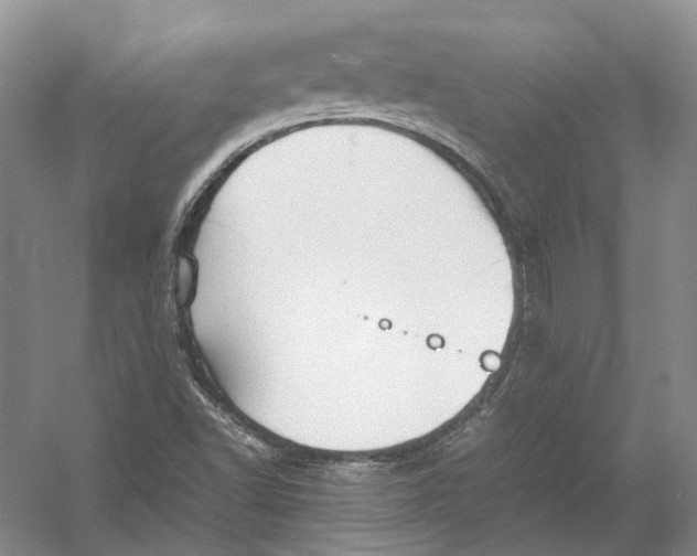 X0000054371502200508262327