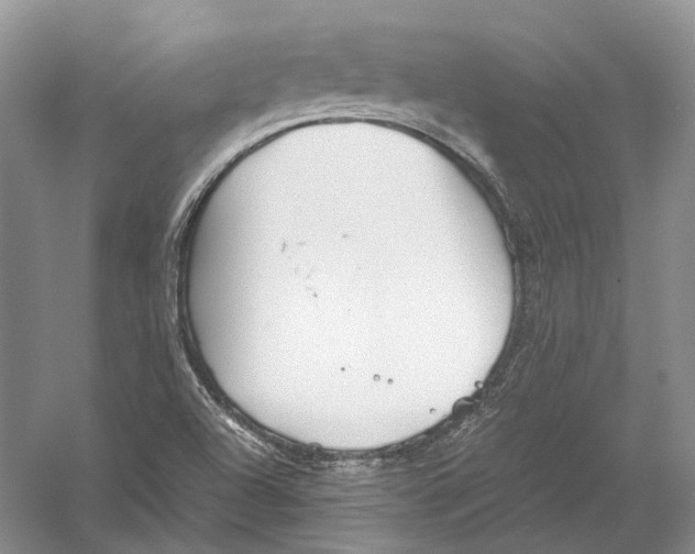 X0000054371504200508262327