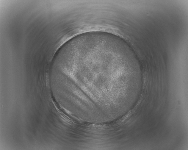 X0000054371505200508262327