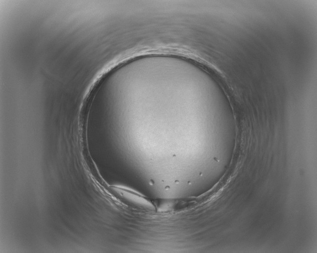 X0000054371506200508262327