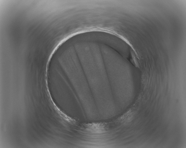 X0000054371508200508262327