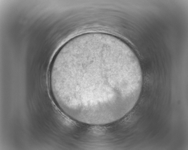 X0000054371514200508262327