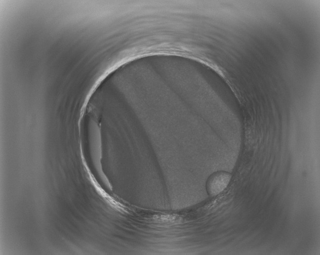 X0000054371515200508262327