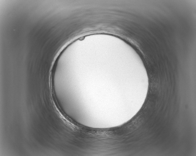 X0000054371516200508262327