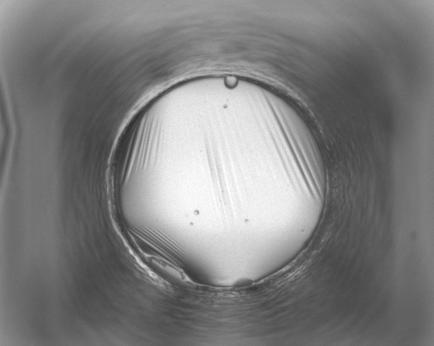 X0000054371517200508262328