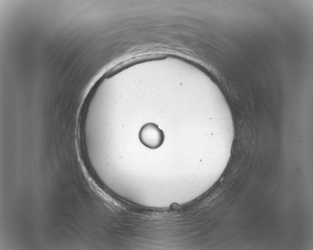 X0000054371518200508262328