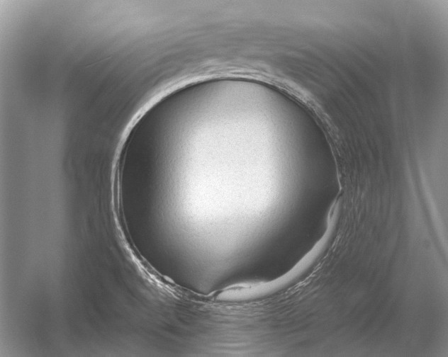 X0000054371520200508262328