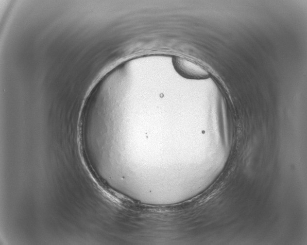 X0000054371525200508262328