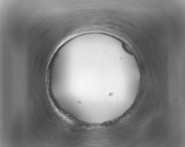 X0000054371526200508262328