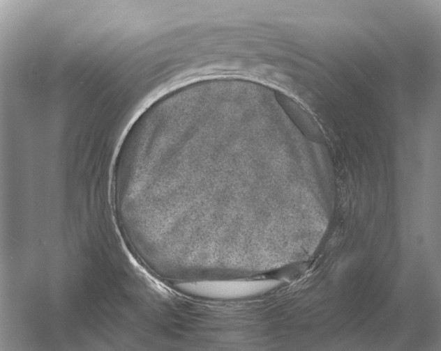 X0000054371527200508262328