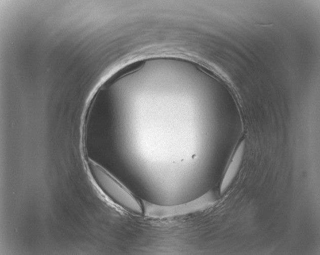 X0000054371528200508262328