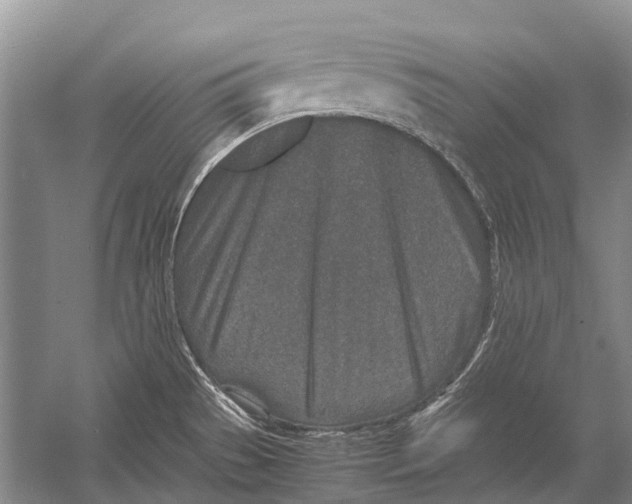 X0000054371529200508262328