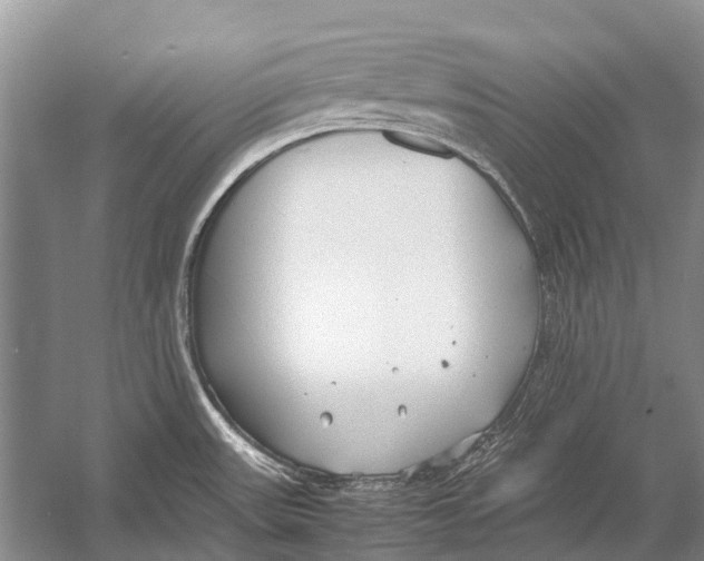 X0000054371531200508262328